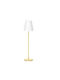 NewGarden Desktop Outdoor Floor Lamp 0.5W with Warm White Light IP65 Gold