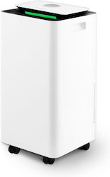 Berdsen BD-521 12lt/ημέρα