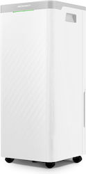 Berdsen BD-522 20lt/ημέρα