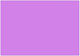 Madrid Papel Type Purple