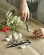 Kikkerland Pruning Shear