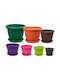 Viosarp Mediteran Flower Pot COLOUR VIOSARP 5206753014782