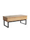 Rectangular Coffee Table Serve with Waiter Natural Black L109xW55xH46cm