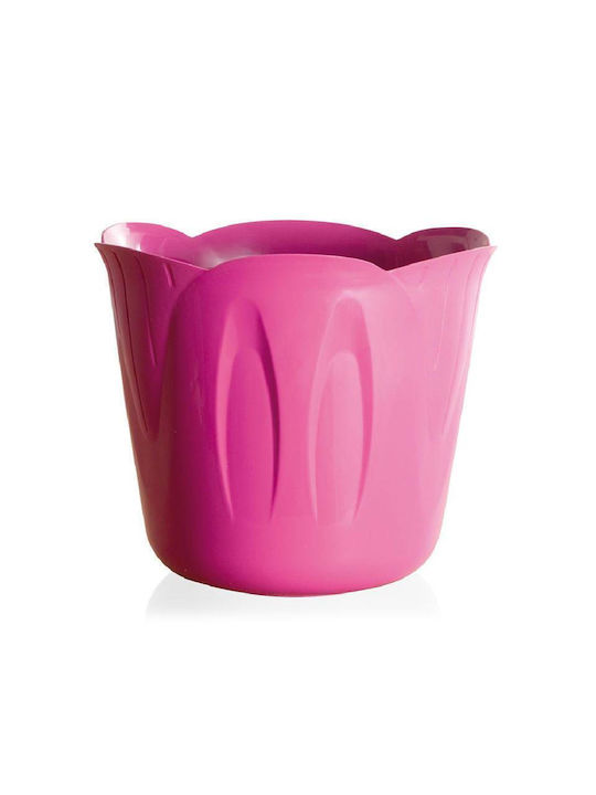 Bama Pot Fuchsia 15x15x12cm