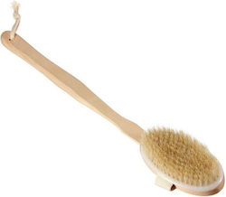 AGC Brush Wooden 1pcs