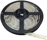 Waterproof LED Strip with Natural White Light by the Meter and 60 LEDs per Meter SMD5050