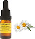 Το Ποικιλοπώλειο Essential Oil Chamomile 10ml