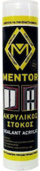 Acrylic Mastic White 280ml Acrylic Mastic White 280ml