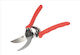 Pruning Shears