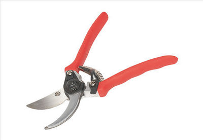 Pruning Shears