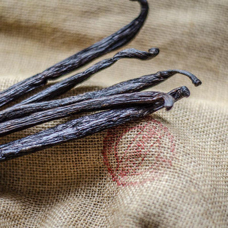 HealthTrade Bourbon Vanille in Samenform 250gr