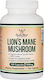 Double Wood Ciupercă Lion's Mane 500mg 500mg 120 Capsule