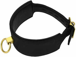 Loving Joy Collar in Black Color