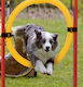 Ferplast Zubehör Ausbildung Hund