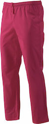 Axon Chef Gray Pants