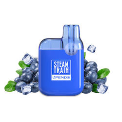 Steam Train Disposable Electronic Cigarette 600...