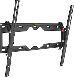 Barkan E310+.B Βάση Τηλεόρασης Τοίχου έως 65"