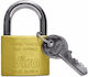 Viro Steel Padlock Brass with Key 30mm 1pcs