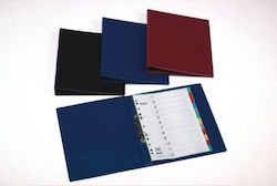 Vivian Plast Κλασέρ 4/30 για Χαρτί A4 1τμχ