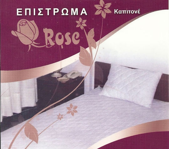 Politishome Rose