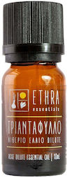 Ethra Essentials Essential Oil Rose 10ml