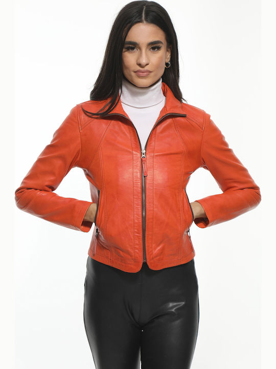 Newton Leather 4116
