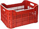 Commercial Crate/Food Basin 50lt 53x35x31cm