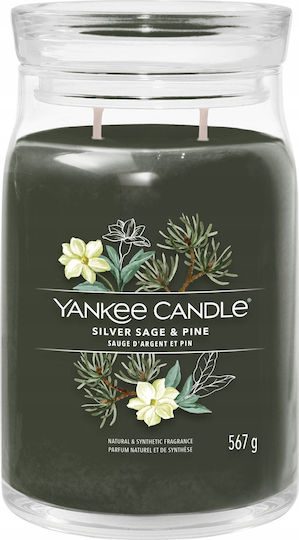 Yankee Candle Signature Aromatice în Borcan Salvie Argintie și Pin