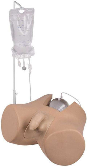 Erler Zimmer Modell Interaktives Training & CPR