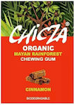 Chicza Chewing gum 12pcs