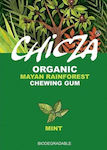 Chicza Chewing gum 12pcs