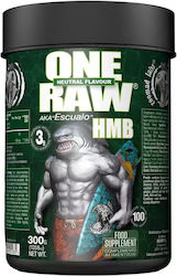 Zoomad Labs One Raw 300gr Ungesüßt