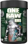 Zoomad Labs One Raw 300gr Unflavoured