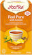 Yogi Tea Organic Product Tea Feel Pure 30.6gr