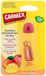 Carmex Lip Balm Peach Mango 10gr