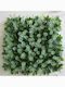Supergreens Изкуствена панелна листва 50x50см