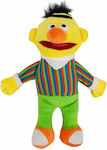 Plush Sesame Street 28 cm (Various Designs) 1pc