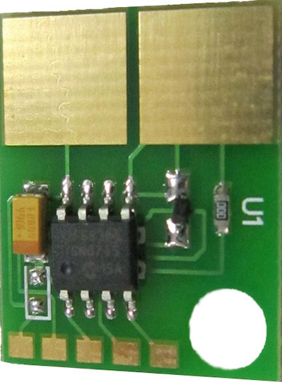 Ibm S2500 1222 53p7707 Chip pentru Dell (CHIP_7707)
