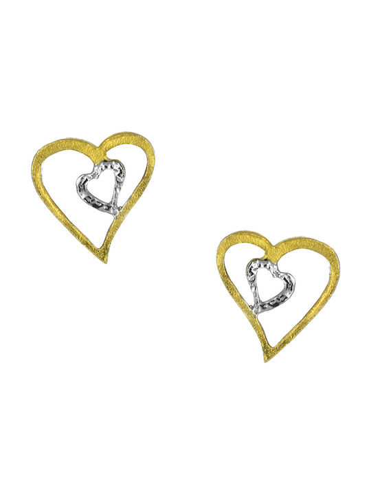 Earrings made of Gold 14K