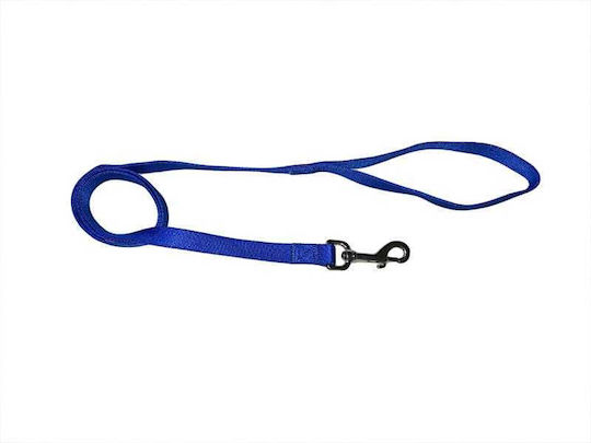 Ferribiella Dog Leash/Lead Strap Special in Blue color
