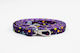 Habby Collar Dog Leash/Lead Strap