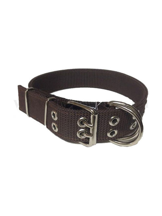 Dog Collar in Brown color