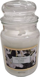 Petali Aromatic Jasmine Jar