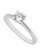 Single Stone from White Gold 14K