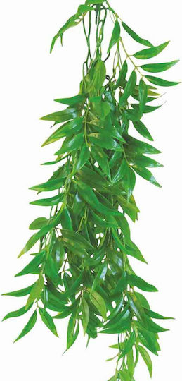 Happet Terrarium Ficus Longifolia 50cm Lebende Aquariumspflanze