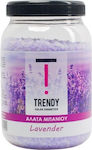 Trendy Color Cosmetics Άλατα Μπάνιου σε Κρυστάλλους με Άρωμα Lavender 1000gr