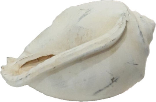 Ixia Regal Dekoratives Muscheln aus Keramik 18.7x14.2x11.2cm 1Stück