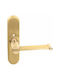 Zogometal Handgriff Fenstergriff mit Platte Gold 241/07