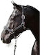 Kerbl Horse Bridle Cob 3224645
