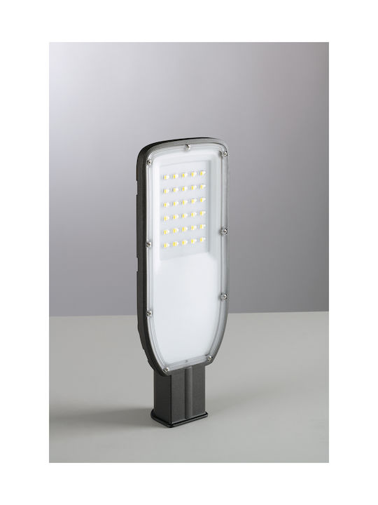 Fan Europe Εξωτερικό Φωτιστικό LED Δρόμου 60W με Φυσικό Λευκό Φως Γκρι